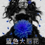 《蓝色大丽花》5人剧本杀电子版完整资源