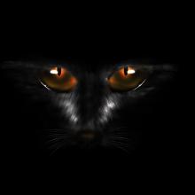 《黑夜之下》6人剧本杀电子版完整资源