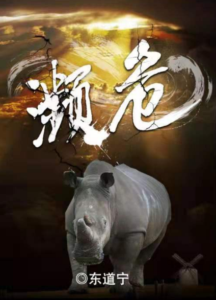 《濒危》剧本杀答案真相