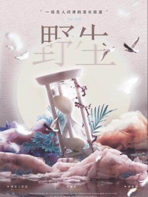 《野生》5人剧本杀电子版完整资源