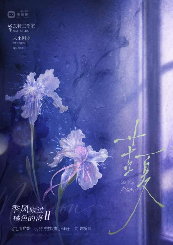 剧本杀《季风吹过橘色的海Ⅱ苦夏》6人剧本杀电子版完整资源