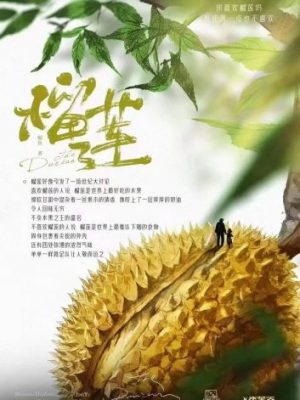 剧本杀《榴莲》6人剧本杀电子版完整资源